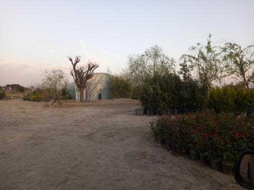عکس نهالستان مهدی ذلفی
