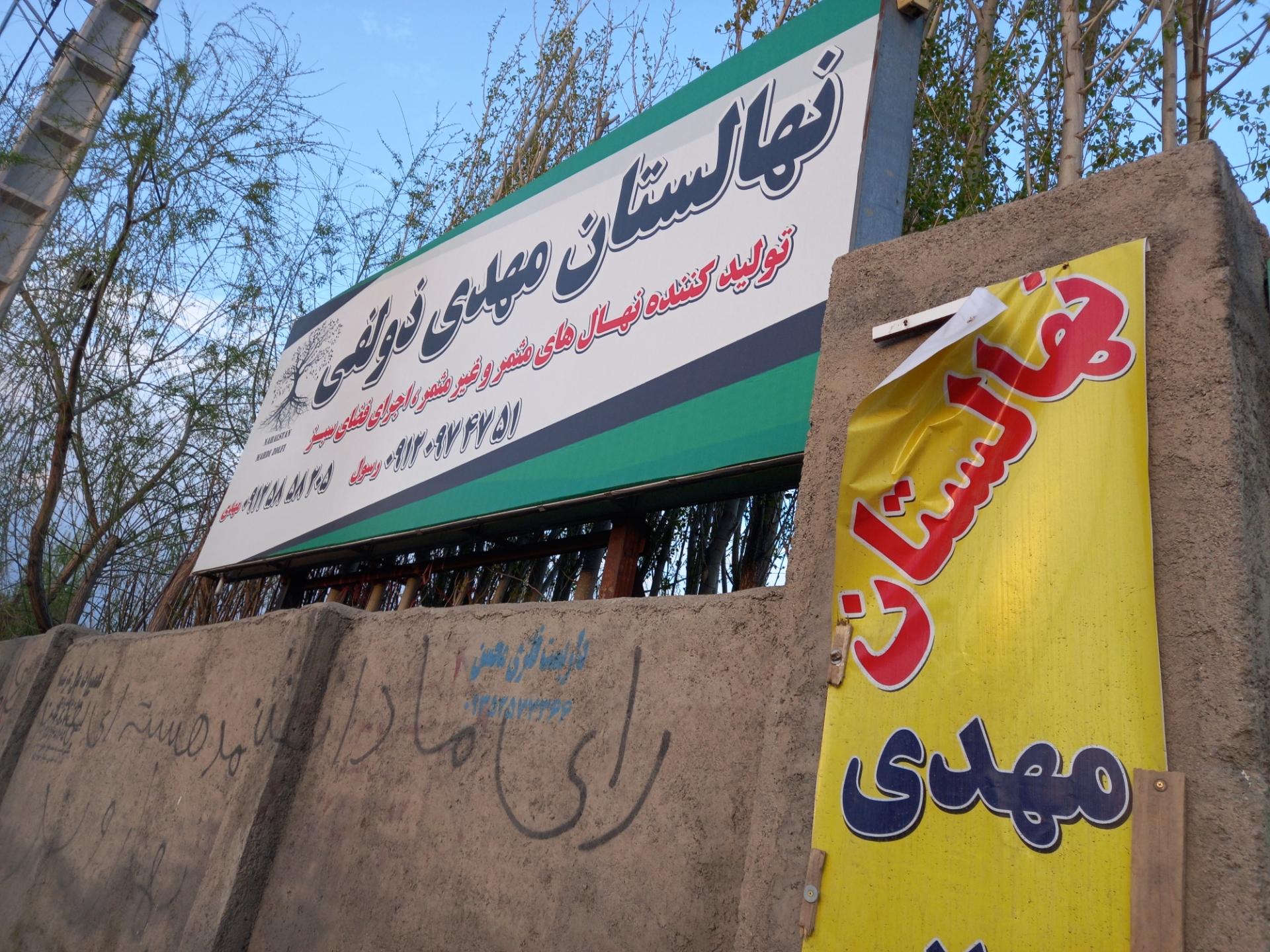 عکس نهالستان مهدی ذلفی