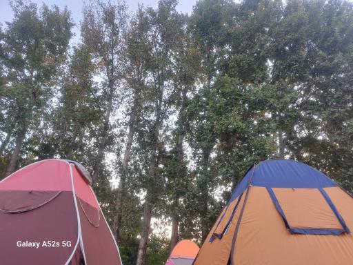 عکس بوستان بلوار