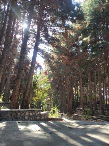 عکس بوستان بلوار