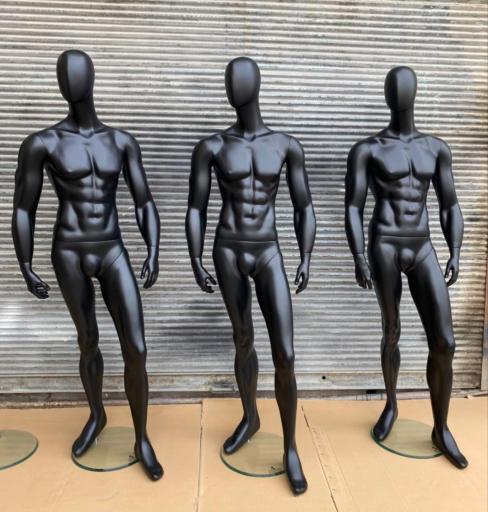 عکس تولیدی مانکن، رگال و چوبکار آیلار