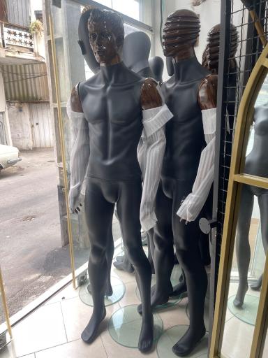 عکس تولیدی مانکن، رگال و چوبکار آیلار