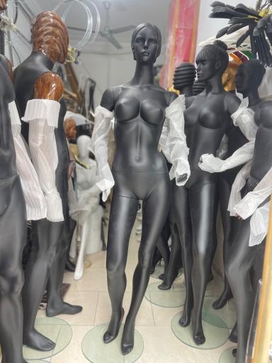 عکس تولیدی مانکن، رگال و چوبکار آیلار