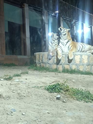 عکس دهکده گردشگری گهرپارک