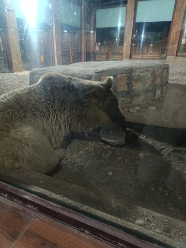 عکس دهکده گردشگری گهرپارک