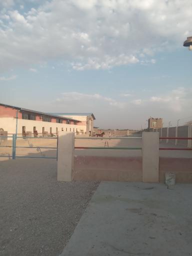 عکس باشگاه اسب سواری 