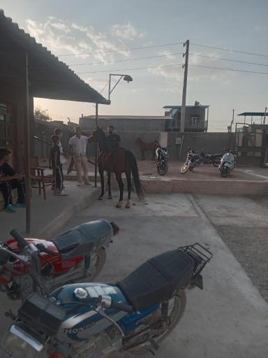 باشگاه اسب سواری 