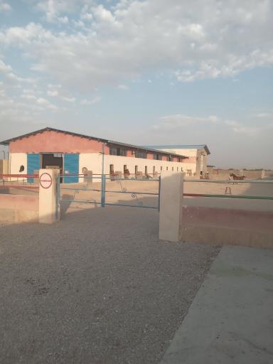 عکس باشگاه اسب سواری 