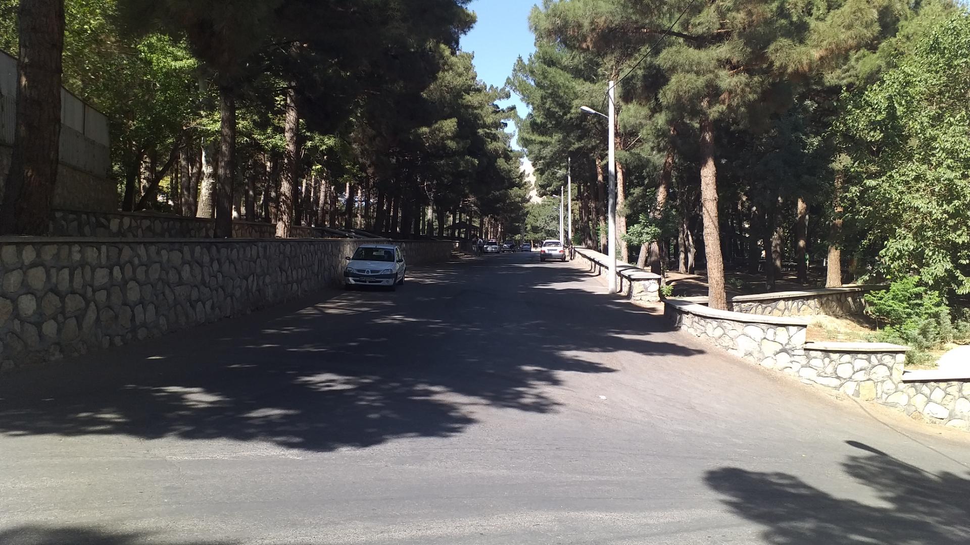 عکس بوستان بلوار