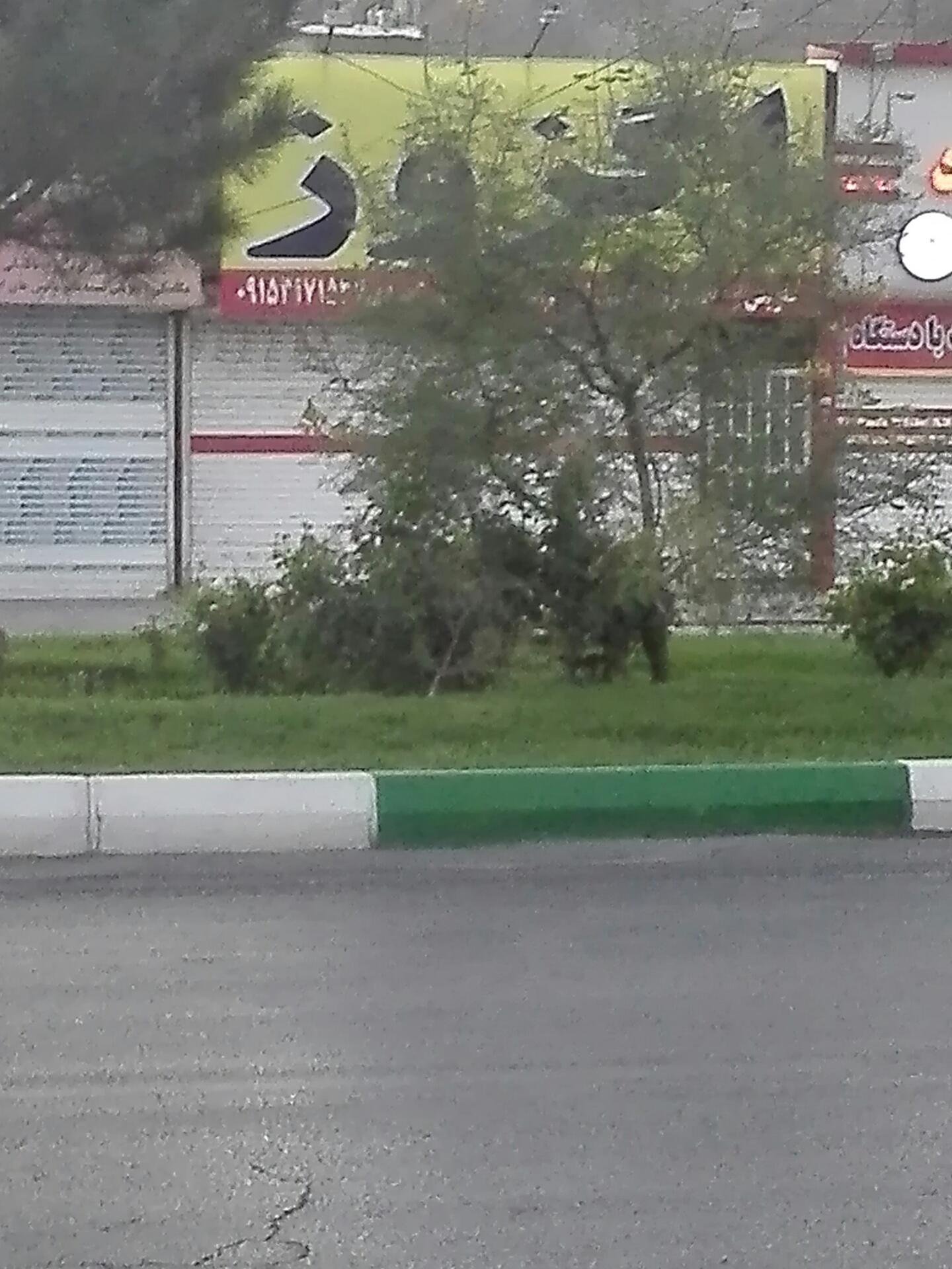 عکس اگزوز سازی احمدی 