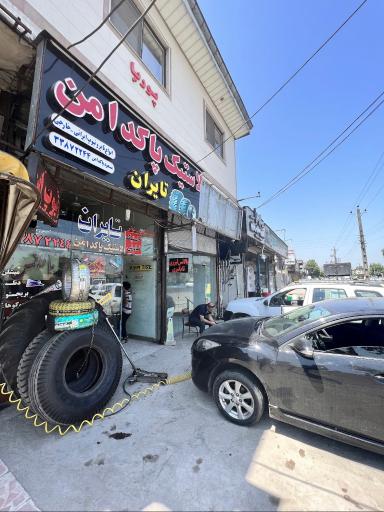 لاستیک پاکدامن (تایران)