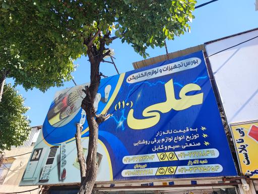 عکس الکتریکی علی