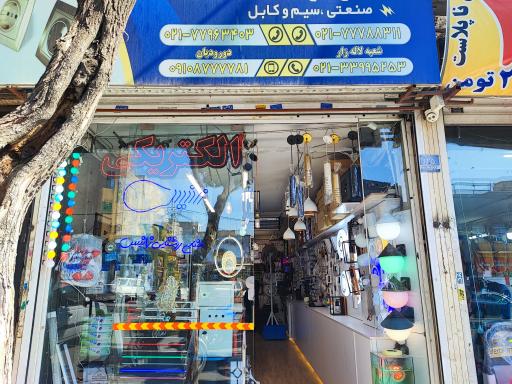 عکس الکتریکی علی