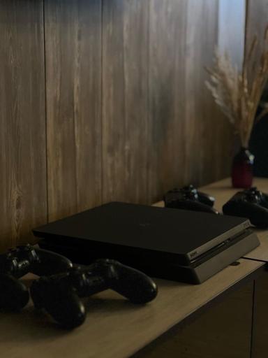 عکس خانه بازی ریسک