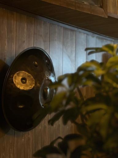 عکس خانه بازی ریسک