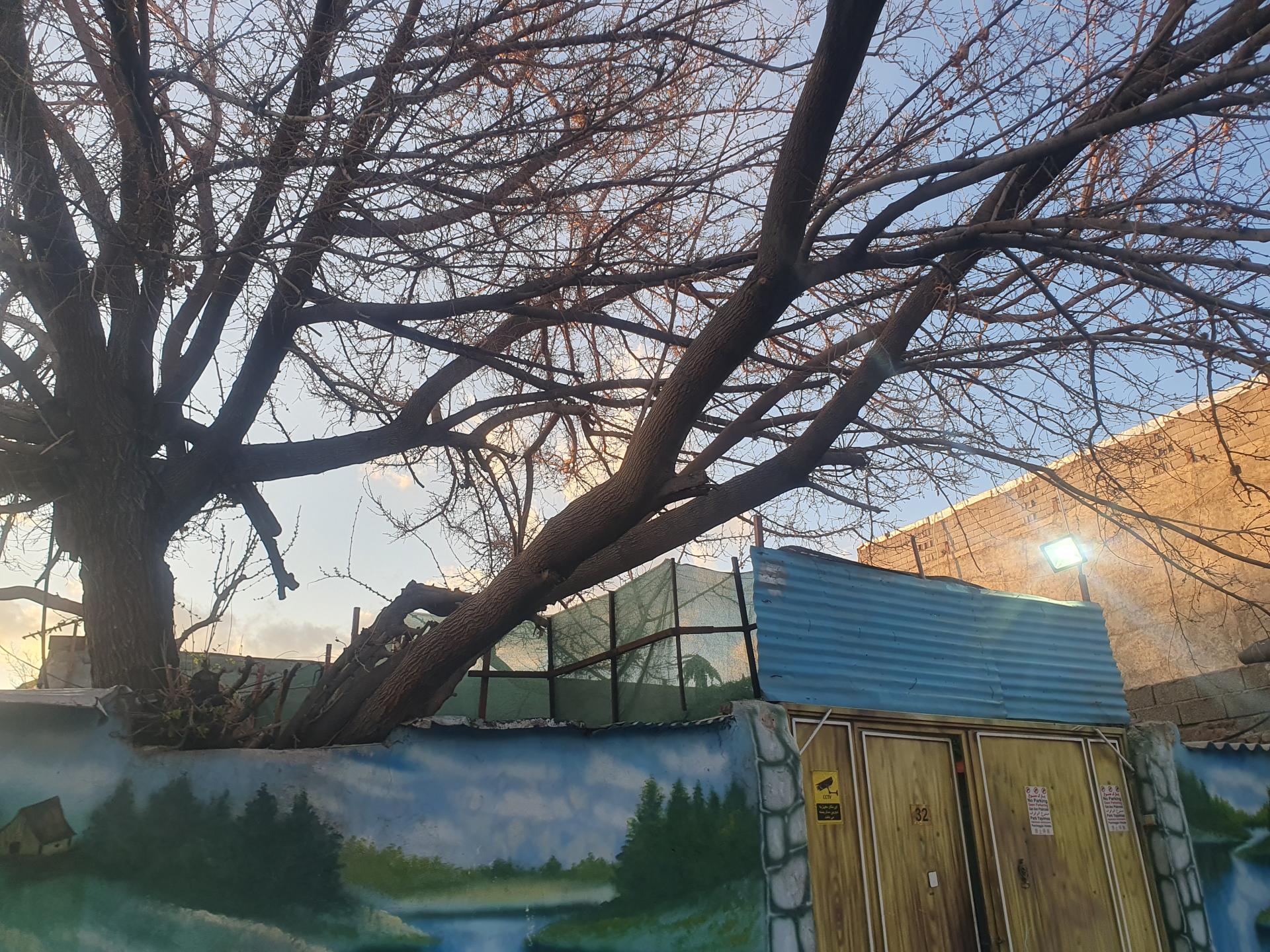 عکس مرکز ترک اعتیاد سبز رهایی همت