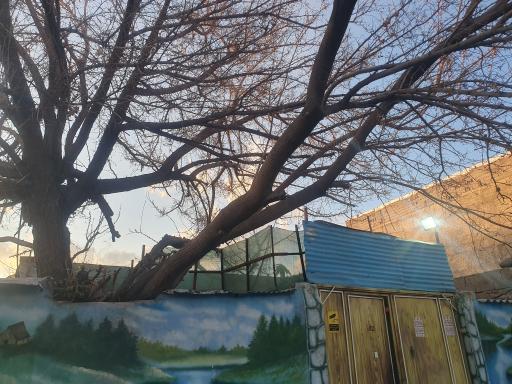 عکس مرکز ترک اعتیاد سبز رهایی همت