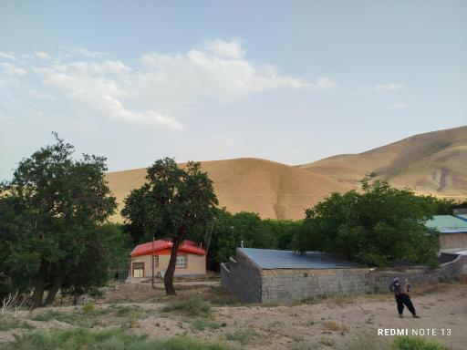 عکس بریه