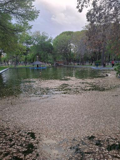 عکس پارک ملت