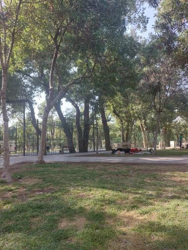 عکس پارک ملت