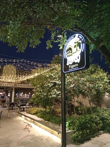 عکس پیتزا را (شعبه شیخ صدوق)