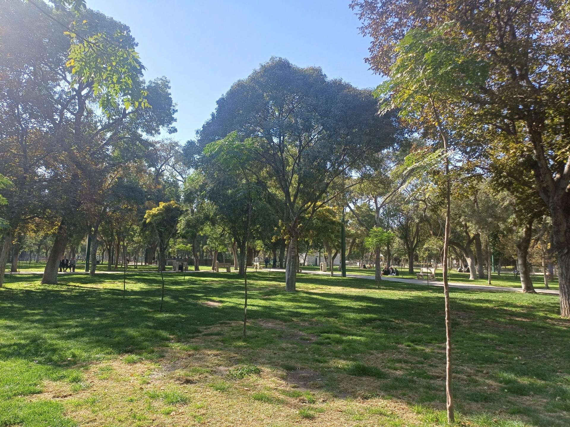 عکس پارک ملت