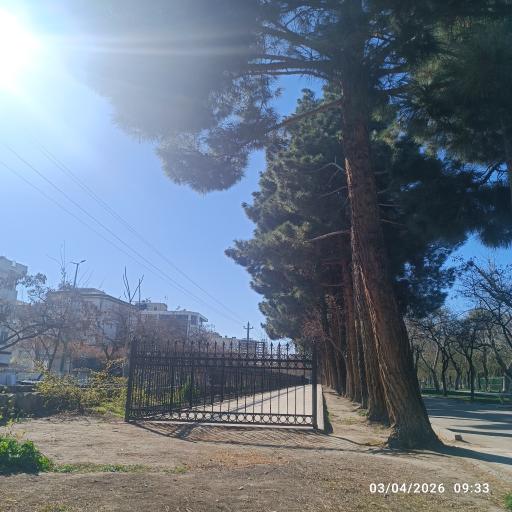 عکس پارک ملت