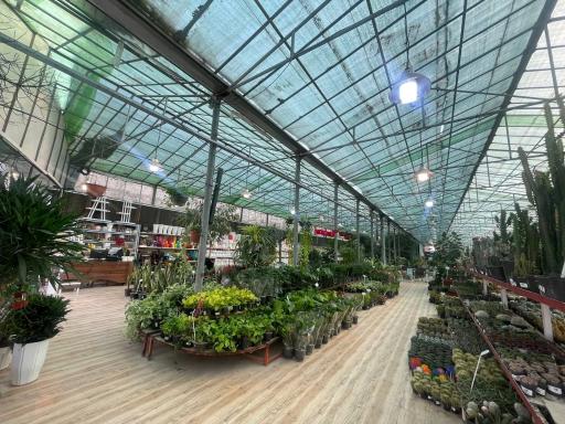 عکس گل و گیاه پردیسان