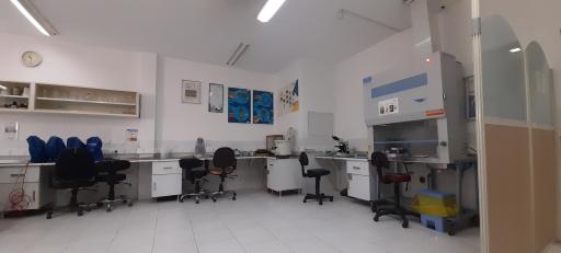 عکس آزمایشگاه مرکزی و قارچ شناسی