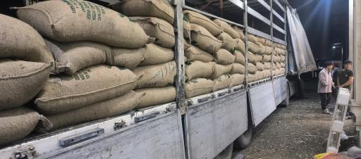 عکس پخش خشکبار علیی