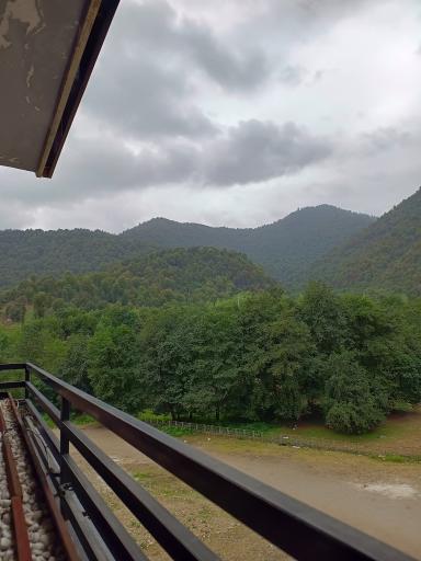 عکس کافه رستوران ولف