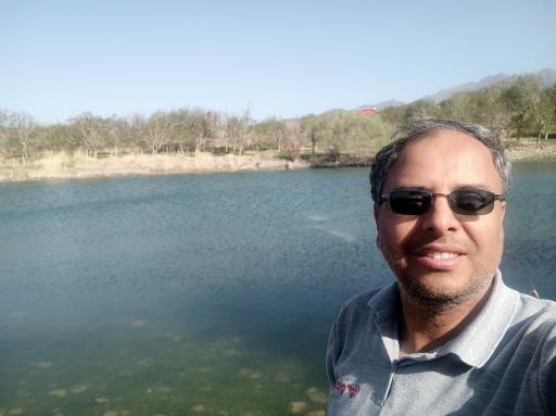 عکس چار سامون