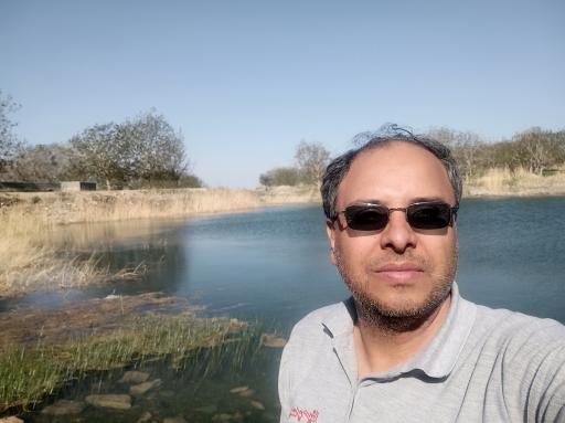 عکس چار سامون