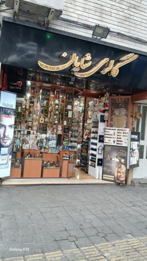 عکس گالری شایان