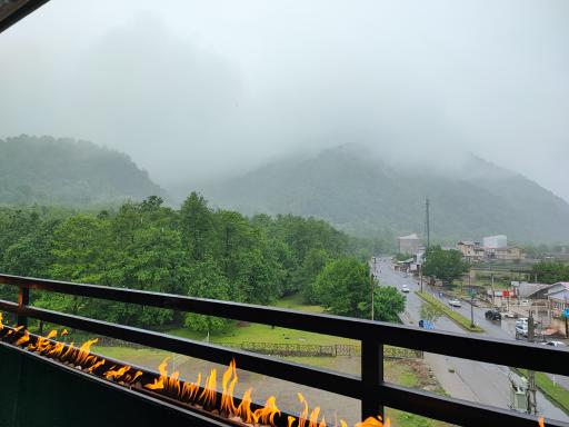 عکس کافه رستوران ولف