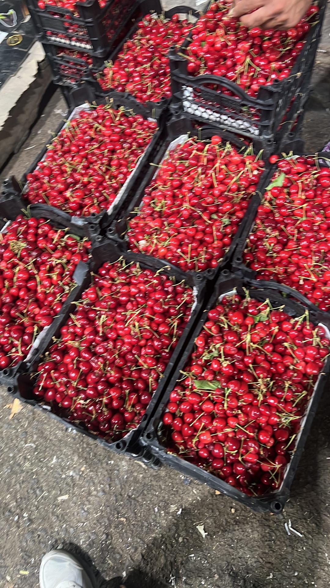 عکس هایپر میوه سام و زال