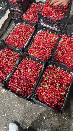 هایپر میوه سام و زال