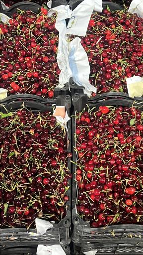 هایپر میوه سام و زال