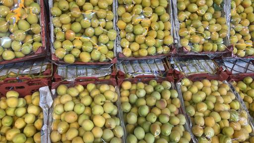 هایپر میوه سام و زال