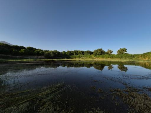 عکس چار سامون