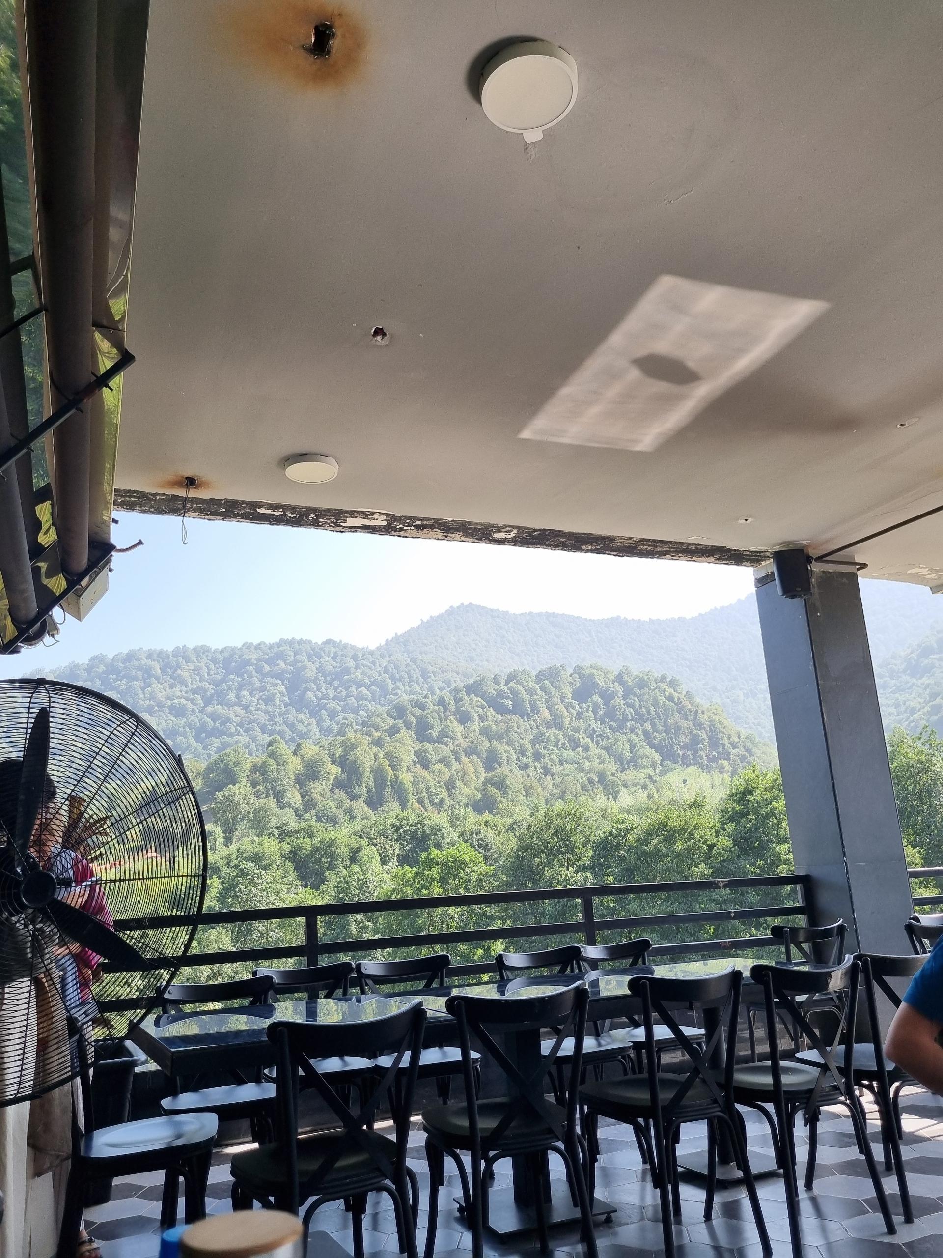 عکس کافه رستوران ولف