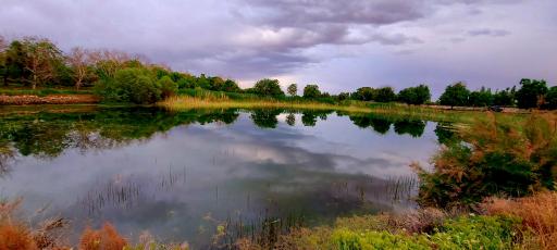 عکس چار سامون