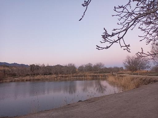 عکس چار سامون