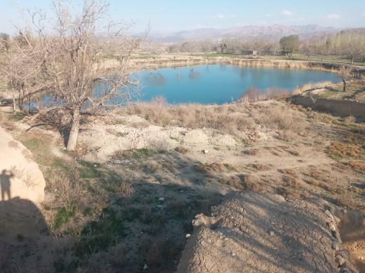 عکس چار سامون