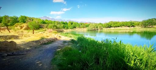 عکس چار سامون