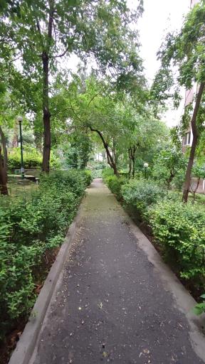 عکس شهرک پاس