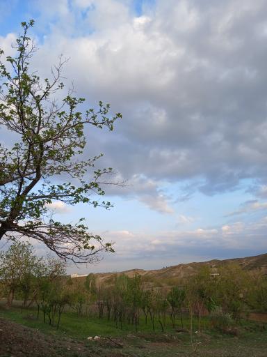عکس گراخک