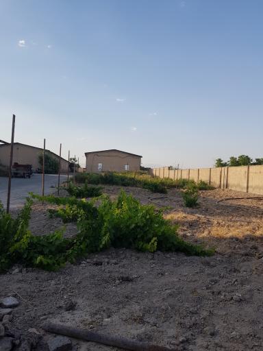 عکس مزرعه قارچ سحاب