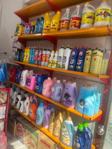 شوینده بهداشتی الهیاری