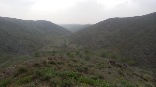 عکس گراخک